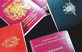 Cách Làm Passport Ở Mỹ Gặp Sự Cố Ở Mỹ Mới Nhất