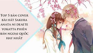 Ý Nghĩa Bài Hát Sakura